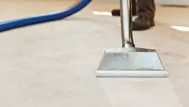 Carpet cleaning wand head gliding over a light carpet during hot-water extraction, Irvine, CA.
